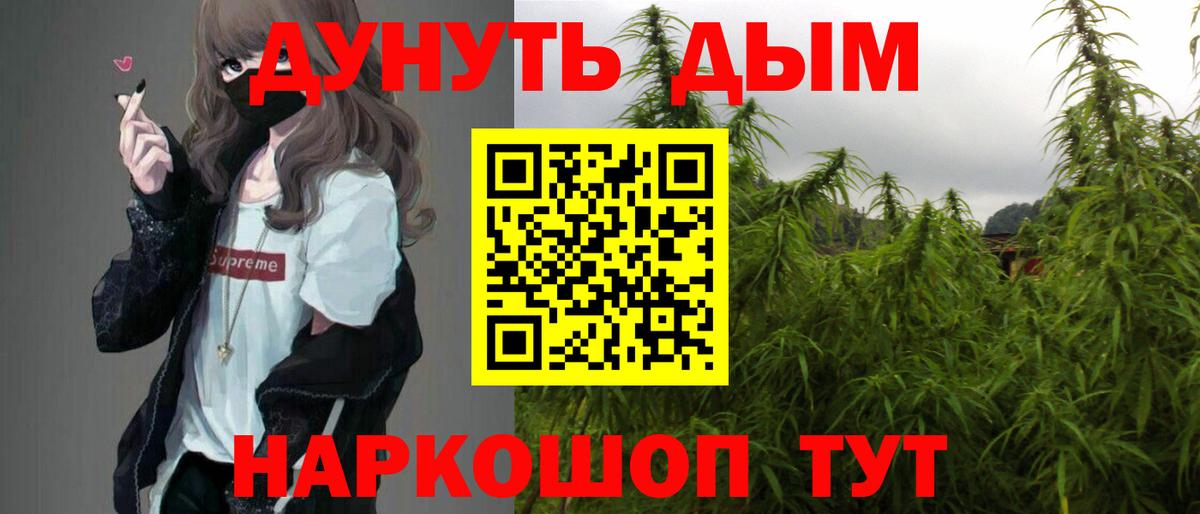 Бошки Шишки планчик Чайковский